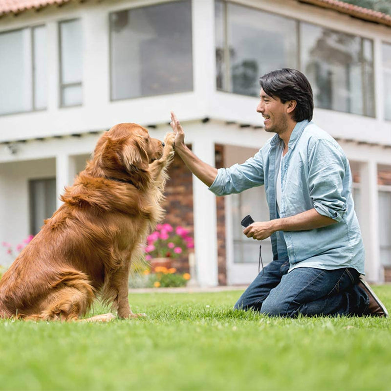 Aparelho Anti Latido - SilenPro Adestrador de Cães Ultrassônico com lanterna de comandos